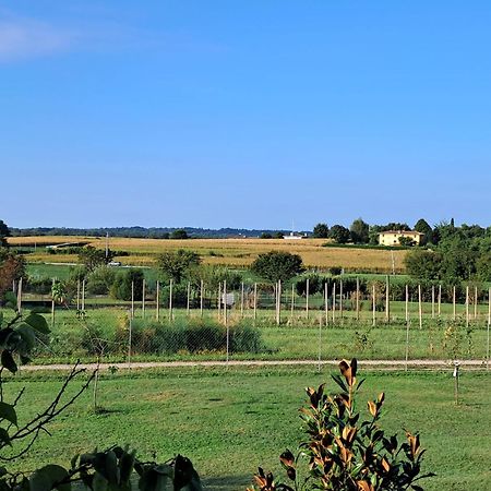 B&B Da Robertino Tricesimo Exterior photo